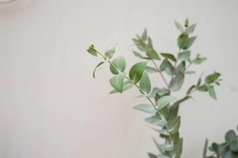 Minimalist home decor with empty frame mock-up on white wall background Stock Photos