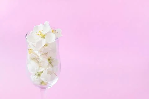 Minimalist horizontal composition with white spring blossoms in glass flutes Stock Photos