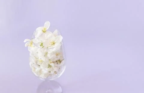 Minimalist horizontal composition with white spring blossoms in glass flutes Stock Photos