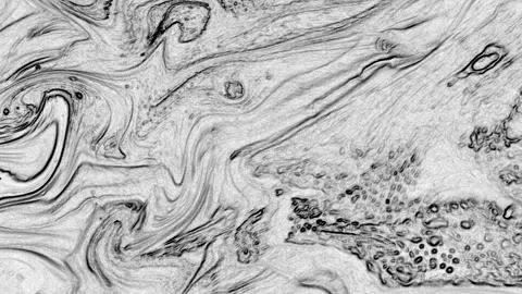 Minimalist Ink Flow Transition Stock Footage 327999342