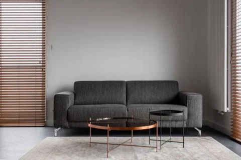 Minimalist interior with gray sofa Foto stock
