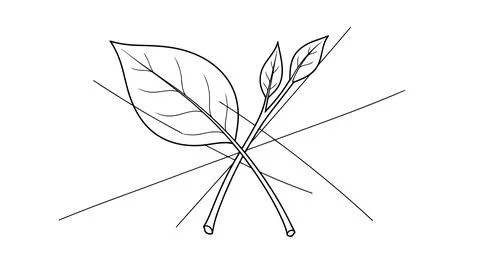 Minimalist leaf illustration with perspective lines Stock Illustration