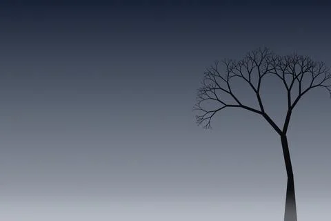 Minimalist leafless tree silhouette against a dark gray to light gray gradi.. Stock Photos