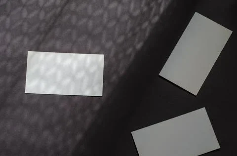 Minimalist light and shadow composition with business cards on gray backgroun 写真素材