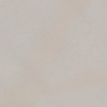 Minimalist Light Gray Mesh Texture Background with Elegant Undulating Grid イラスト素材