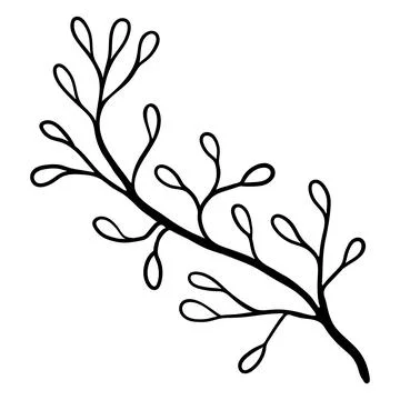 .Minimalist linear drawing of a botanical branch with leaves. Stock Illustration