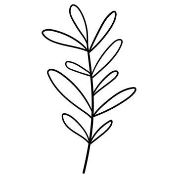 Minimalist linear drawing of a botanical branch with leaves. Stock Illustration