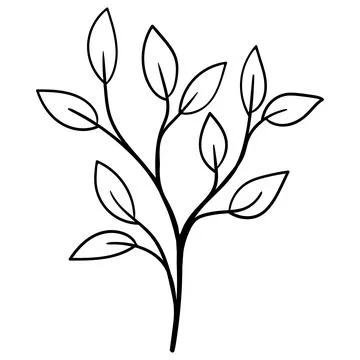 Minimalist linear drawing of a branched botanical stem with leaves. Stock Illustration