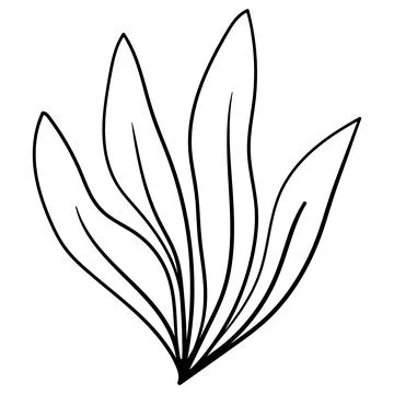 Minimalist linear drawing of a bush made of long botanical leaves. Stock Illustration