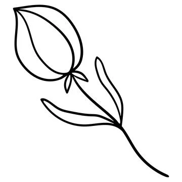 Minimalist linear drawing of a closed tulip bud on a stem with leaves. イラスト素材