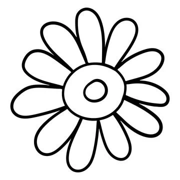 Minimalist linear drawing of a daisy or sunflower flower head. Stock Illustration