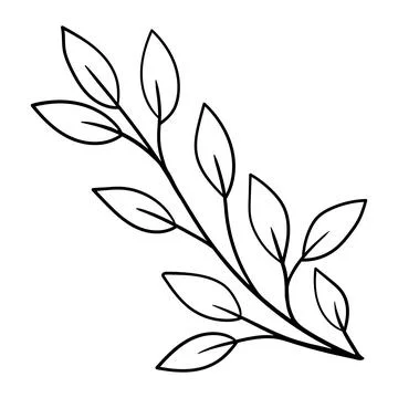 Minimalist linear drawing of an elegant botanical branch with leaves. Stock Illustration