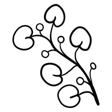 Minimalist linear drawing of an eucalyptus branch or round leaves with berrie Stock Illustration