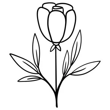 Minimalist linear drawing of a gentle tulip or rose flower with stem and le.. 库存插图