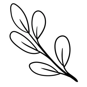 Minimalist linear drawing of a small botanical branch with oval leaves. Stock Illustration