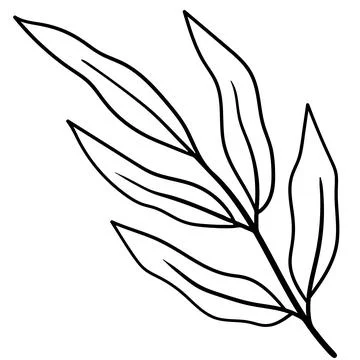 Minimalist linear drawing of a tropical leaf or peony branch. Stock Illustration