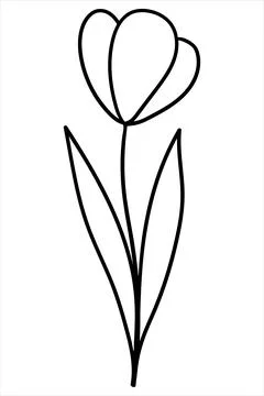 Minimalist linear drawing of a tulip flower on a stem with leaves. Stock Illustration