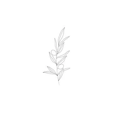 Minimalist linear olive branch. Small ornamental floral element, tiny fine line Stock Illustration