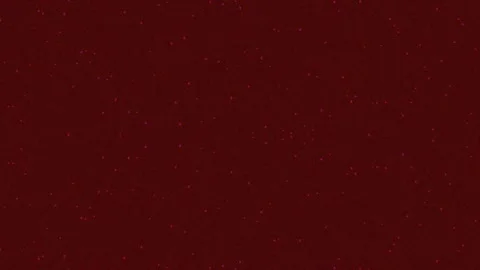 Minimalist Maroon Bokeh Background Texture for Elegant Visual Content Stock Footage 337498527