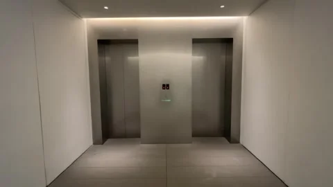 Minimalist Metallic Elevator Lobby with Symmetric Doors Видео 334358182