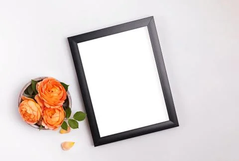 Minimalist mock up with empty frame and beautiful roses Stock Photos