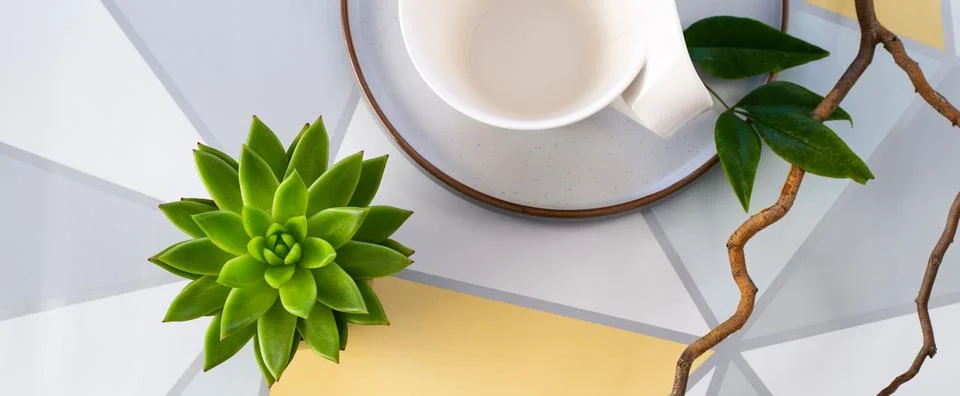 Minimalist modern header Stock Illustration