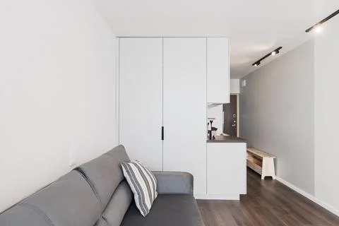 Minimalist Modern Studio Apartment Interior With Compact Kitchen, Sofa, Ent.. Stock Photos