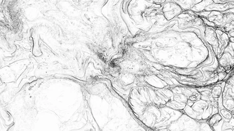 Minimalist Monochrome Abstract Fluid Flow Stock Footage 332485756