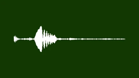 Minimalist Monochrome Audio Wave Visualizer Animation Line Spectrum Green S.. Stock Footage 341294041