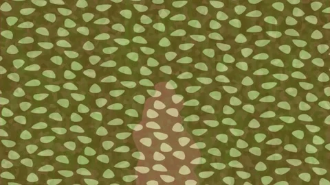 Minimalist Motion Graphics Creative Motion Stock Footage 328665911