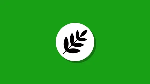 Minimalist olive branch leaf icon animation on white circular element with .. Stock Footage 327762719