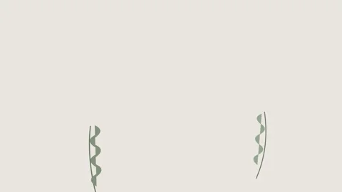 Minimalist pair of simple green leaf illustrations on a soft cream background Stock-Footage 336263218