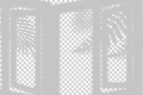 Minimalist palm leaf shadows cast on white wall in natural light Stock Illustration