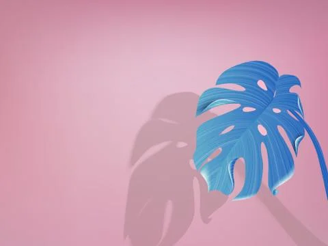 Minimalist pastel blue split leaf Philodendron on blue background with shadow Stock Illustration