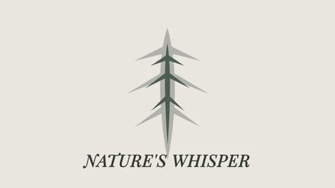 Minimalist Pine Tree Icon Vector Design for Outdoor Branding or Seasonal El.. 스톡 동영상 336879674