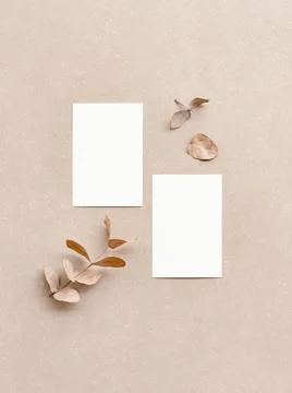 Minimalist presentation of two vertical blank business cards mock up for desi Stock Photos