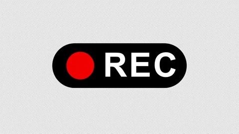 Minimalist REC Indicator Icon with Blinking Red Dot on White Stock-Footage 343183837