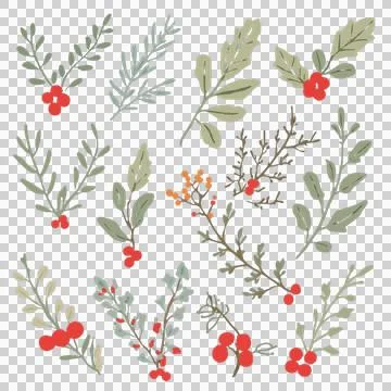 Minimalist Red Berry Sprigs with Simple Green Leaves Stock Photos