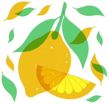 Minimalist Risograph Illustration of a Whole Lemon and Citrus Slice with Leav Stock Illustration