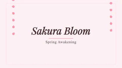 Minimalist Sakura Bloom Spring Awakening Text Animation Background Stock Footage 336889348