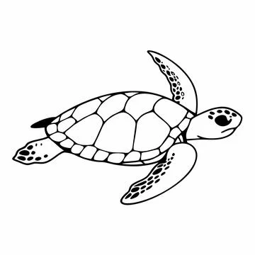 Minimalist Sea Turtle Graphic Vector Stock Illustration