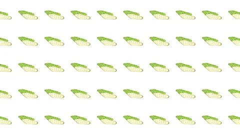 Minimalist seamless pattern of fresh green cucumber slices on a clean white.. Stock Illustration