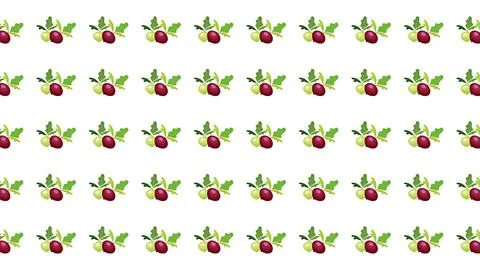 Minimalist seamless pattern of fresh red and green beets on white background 스톡 일러스트