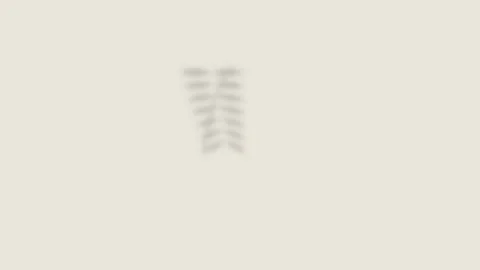 Minimalist shadow of a delicate plant leaf cast upon a clean beige wall Vídeo Stock 336263540