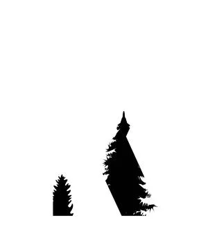 A minimalist silhouette illustration featuring pine trees with pine tree, eve Illustration