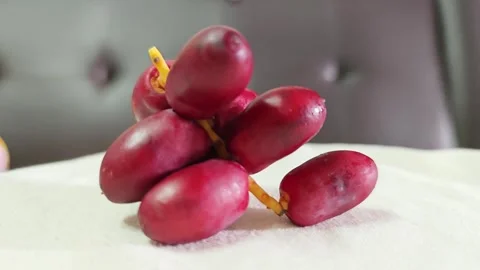 Minimalist Single Fresh Red Date Palm Branch Closeup. Stock Footage 340488189