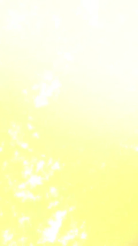 Minimalist Soft Light Motion Design - Elegant Abstract Pattern Stock Footage 325573570