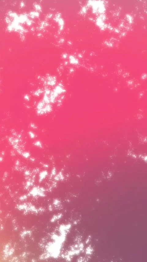 Minimalist Soft Light Motion Design - Elegant Abstract Pattern Stock Footage 325573714