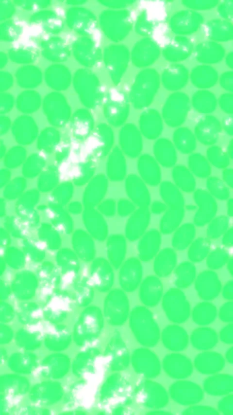 Minimalist Soft Light Motion Design - Elegant Abstract Pattern Stock Footage 325576471