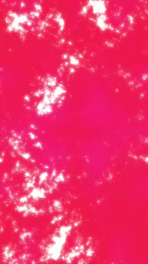 Minimalist Soft Light Motion Design - Elegant Abstract Pattern Stock Footage 325576491